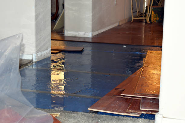 Professional Basement Flood Cleanup technician working in Roslyn, PA
